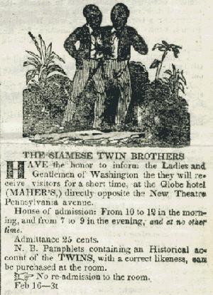 newspaper advertisement for Chang and Eng, 1837