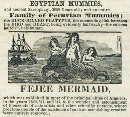 the Fejee Mermaid, detail from advertisement for Boston Museum, 1850