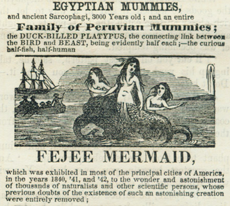 fejee mermaid