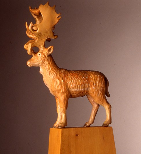 Fallow Deer