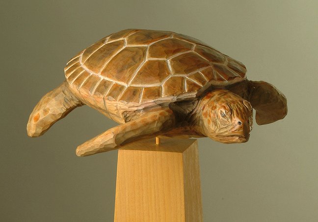 Green Sea Turtle