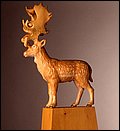 Fallow Deer