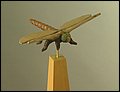 Hine's Emerald Dragonfly