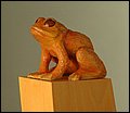 Golden Toad