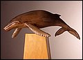 Humpback Whale