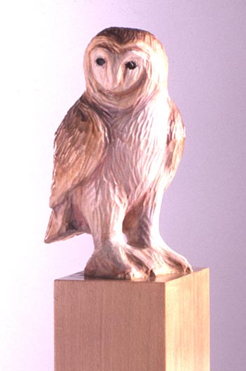 barnowl.jpg