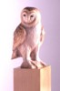 barnowl.jpg