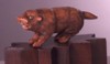 beaver.jpg