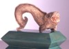 wolffish.jpg