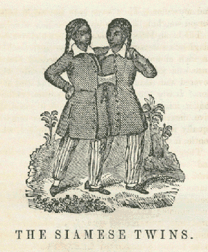 Excerpts from Curiosities of Human Nature, 1849