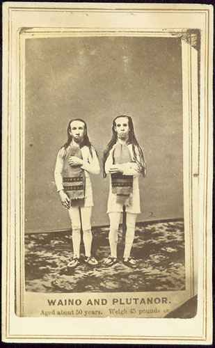 Waino and Plutanor