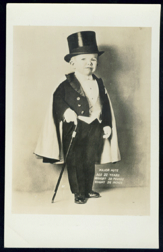 Major Mite