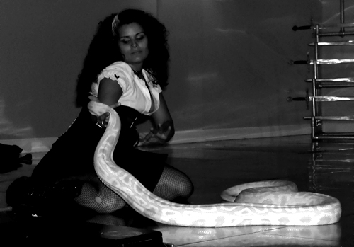 Serpentina
 [This photograph is copyright � 2006 James G. Mundie. All rights reserved.]