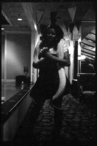 Serpentina
 [This photograph is copyright � 2006 James G. Mundie. All rights reserved.]